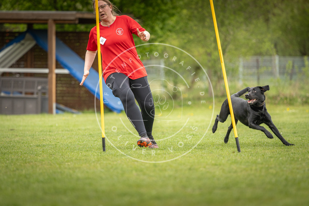 Pfotenfotografie_DV3A9966 | Hundefotografie, Tierfotograf, Pfotenfotografie, Fotoshooting Hund, Hunde Portrait, Hundesport, Hundeportraits, Heideshooting, Hunde, Sportfotograf, Hundefotograf, Turnierhundsport, THS,  - Realisiert mit Pictrs.com