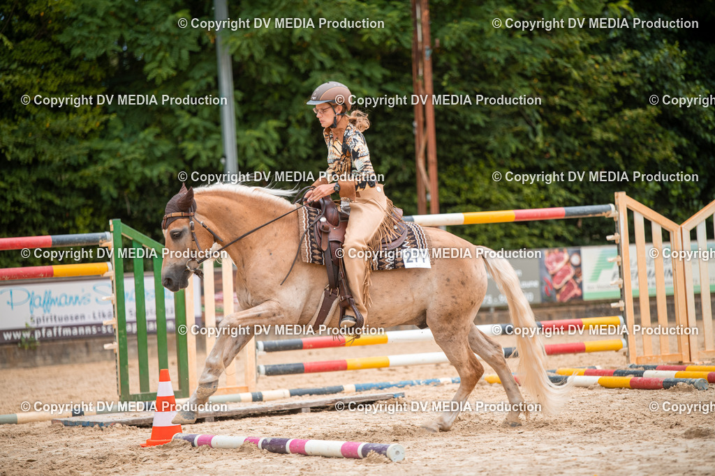 ZS2_8004 | dv-media-shop - Realisiert mit Pictrs.com