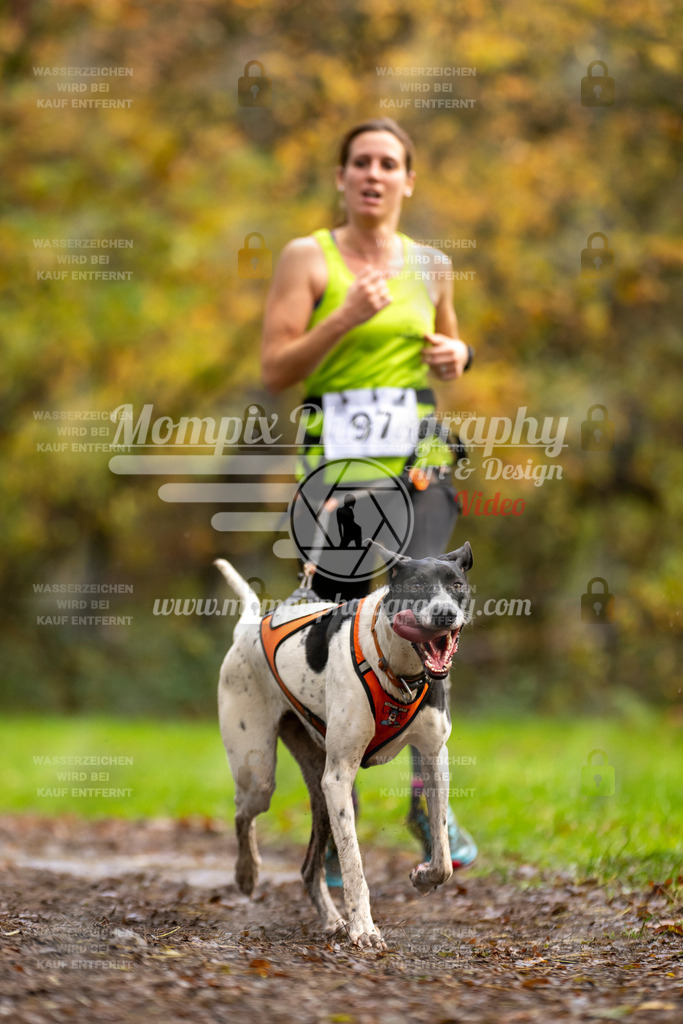 MompixPhotography_Bischwiller23_Canicross-43 | PayLife