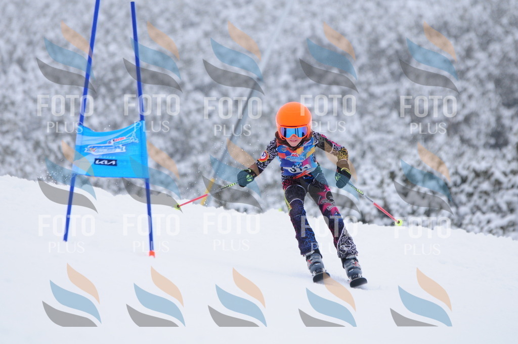 C3345 | holidayphoto