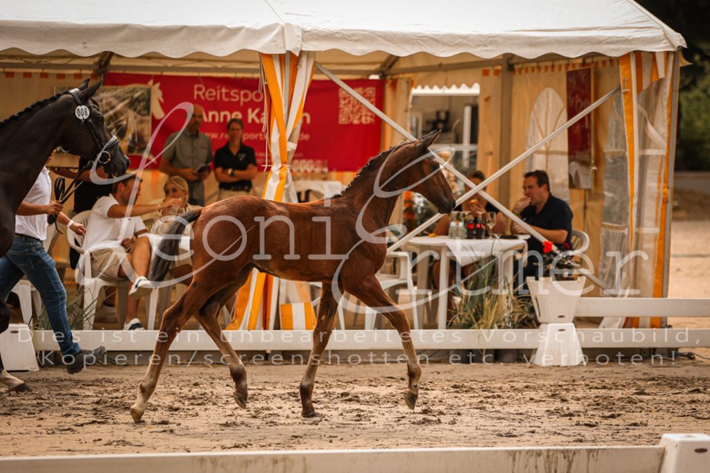 SaPA00118 | Leoni Ertmer Photography - Realisiert mit Pictrs.com