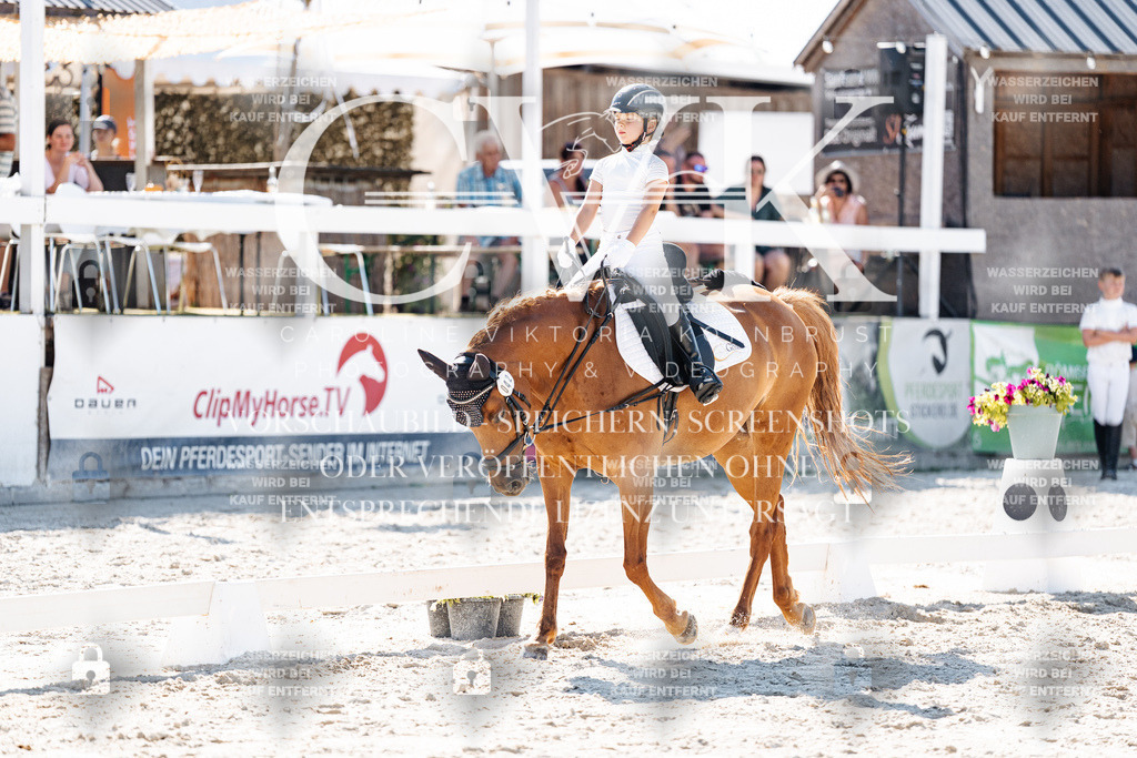 CK903324 | Turnierfotografie Pferdefotografie Trier Rheinland-Pfalz Pferdesport Reitsport Tierfotografie Sportfotografie Pferdevideo Pferdevideografie Equestrianvideography equestrianphotography  - Realisiert mit Pictrs.com