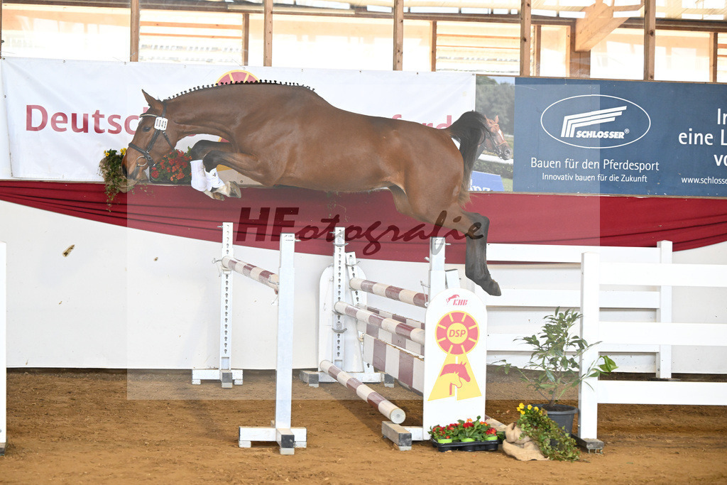 Kat-Nr. 43 Ehawee v. Colestus_Fischer_16251018 | hf-fotografie - Realisiert mit Pictrs.com