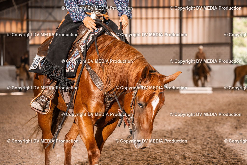 ZH100524 | dv-media-shop - Realisiert mit Pictrs.com