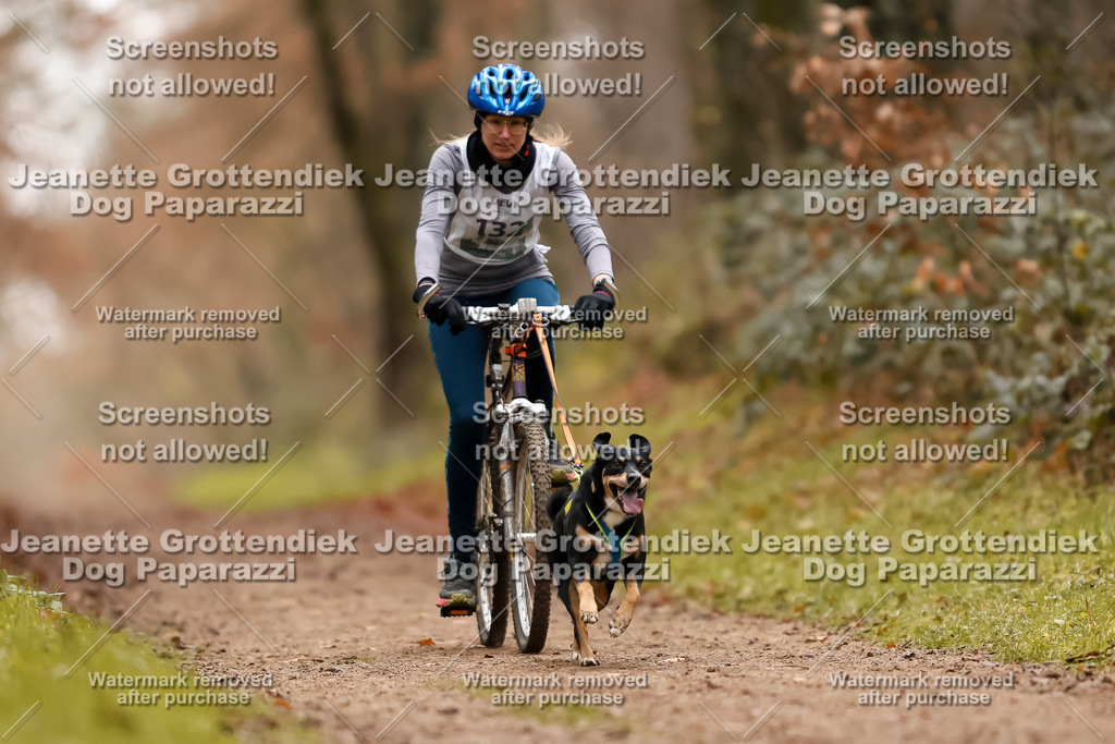 Dog Paparazzi - Speedhunter Mannheim  2025-368 | Dog Paparazzi Jeanette Grottendiek Fotografie & Videografie