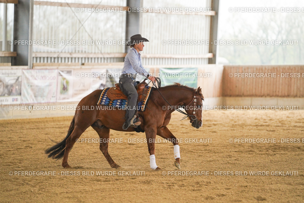 DSC00004 | Pferdegrafie