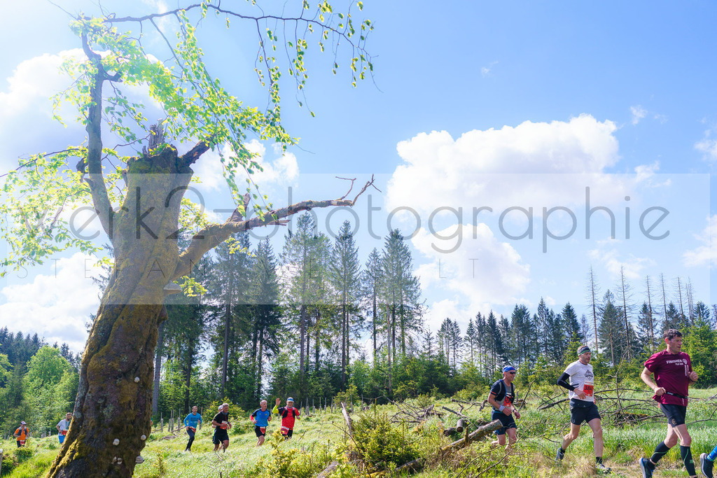Rennsteiglauf Marathon 2025 | Marathon von Neuhaus/Rwg. nach Schmiedefeld/Rstg. am 17. Mai 2025