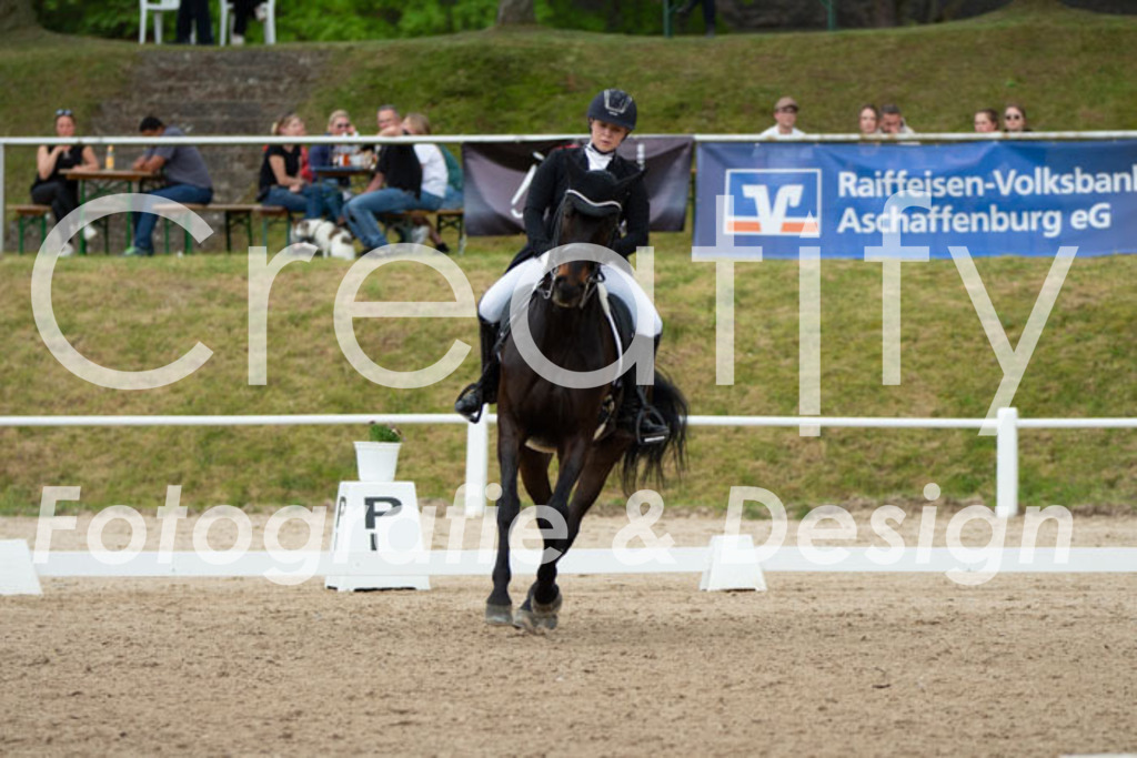 IMG_8714 | Creatify Fotografie