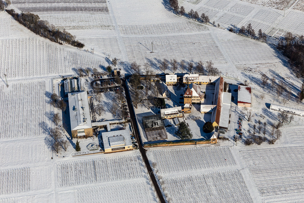 Luftbild: Winterlich schneebedeckte Gebäudekomplex des Julius Kühn-Institut Rebforschungsanstalt Geilweilerhof mit blühenden Mandelbäumen. in Siebeldingen im Bundesland Rheinland-Pfalz in Deutschland. Foto: IMG_124494.jpg vom 11.02.2021 durch Werner Riehm/FLY-FOTO.de