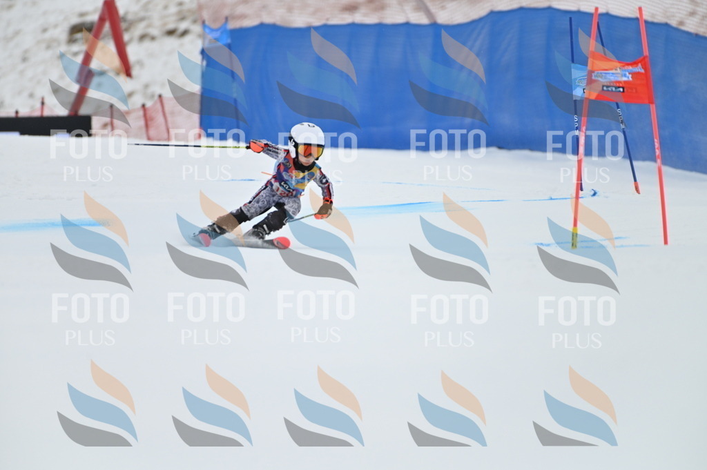 BGV_9820 | holidayphoto