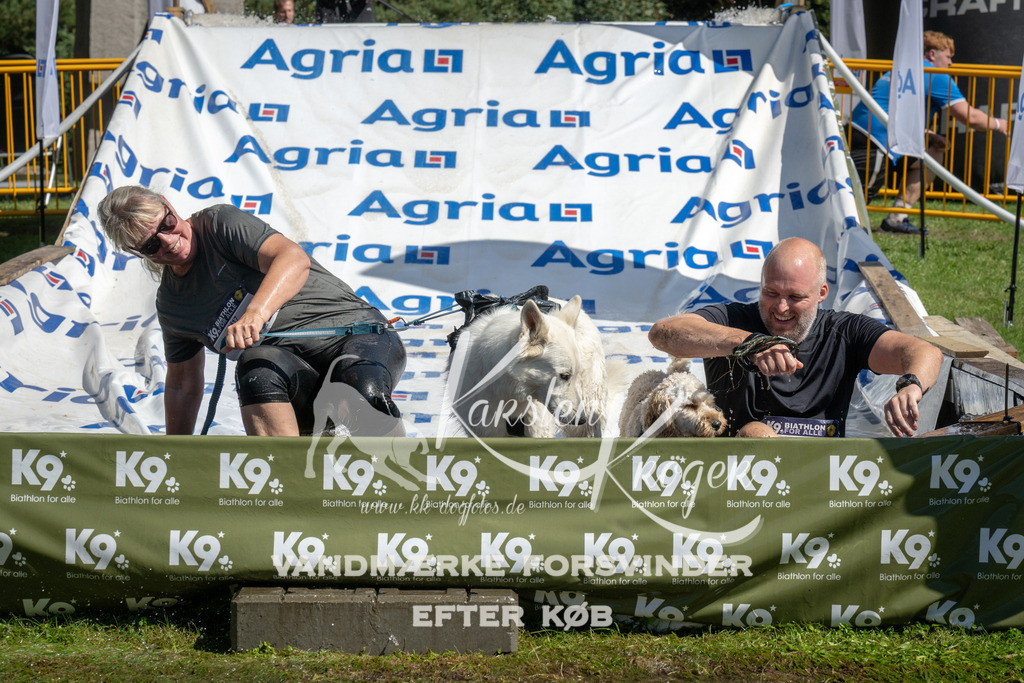 1213_ZZ95384 | kk-dogfotos