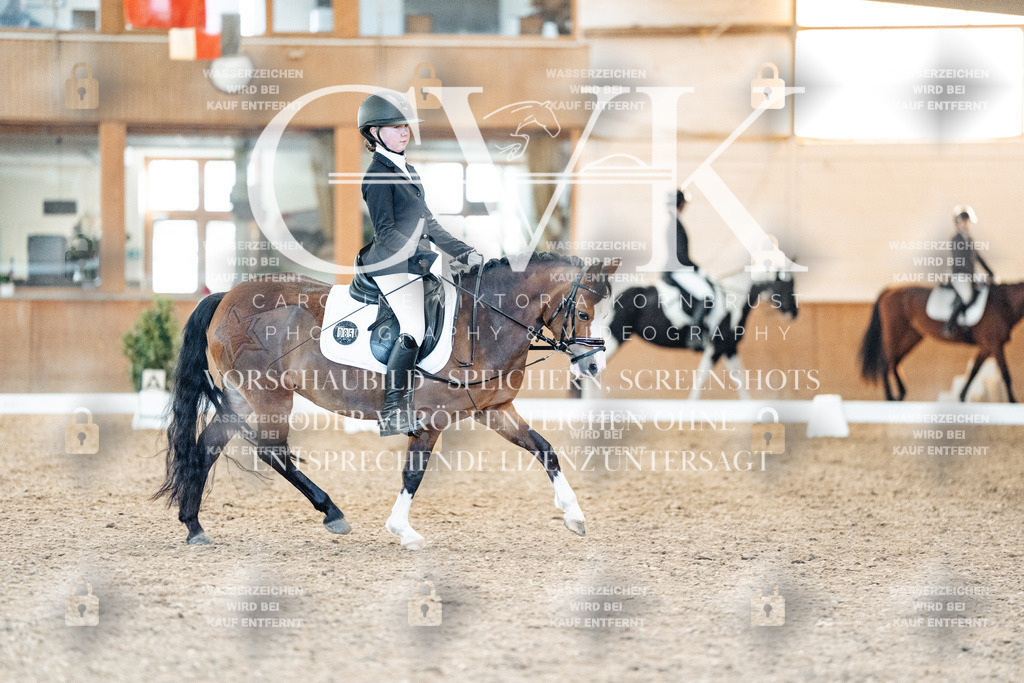 CK907481 | Turnierfotografie Pferdefotografie Trier Rheinland-Pfalz Pferdesport Reitsport Tierfotografie Sportfotografie Pferdevideo Pferdevideografie Equestrianvideography equestrianphotography  - Realisiert mit Pictrs.com