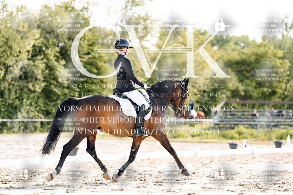 CK909518 | Turnierfotografie Pferdefotografie Trier Rheinland-Pfalz Pferdesport Reitsport Tierfotografie Sportfotografie Pferdevideo Pferdevideografie Equestrianvideography equestrianphotography  - Realisiert mit Pictrs.com
