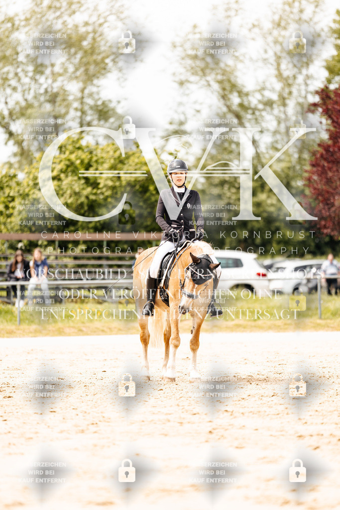 CK902284 | Turnierfotografie Pferdefotografie Trier Rheinland-Pfalz Pferdesport Reitsport Tierfotografie Sportfotografie Pferdevideo Pferdevideografie Equestrianvideography equestrianphotography  - Realisiert mit Pictrs.com