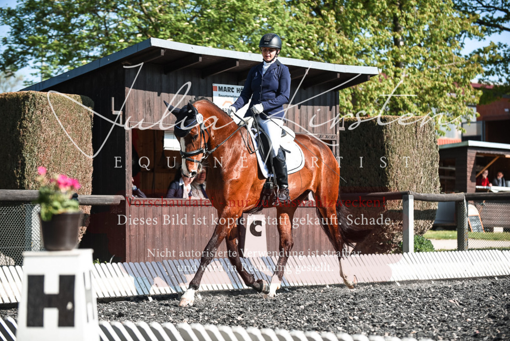 DSC_8553 | Pferde- und Turnierfotografie in Westsachsen. Pferdeportraits, Auftragszeichnungen und intuitive Kunst.