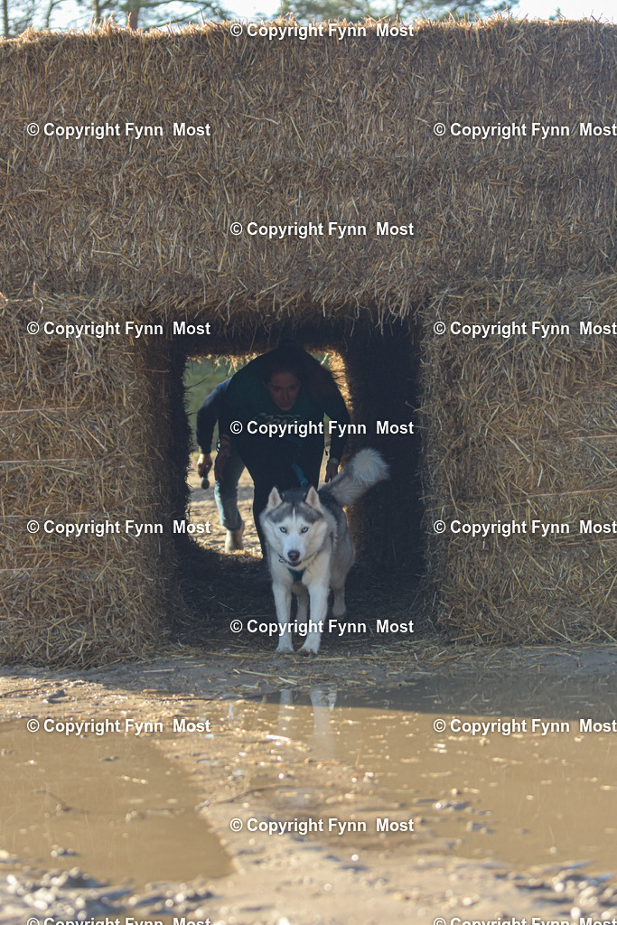 DSC_0323 | Hallo und herzlich Willkommen auf meiner Shop-Seite Fynn Most.

Ich wünsche Dir viel Spaß beim stöbern durch die Bilder, wenn Du Fragen hast oder Bilder vermisst, kannst du mir gerne eine Nachricht schreiben. - Realisiert mit Pictrs.com