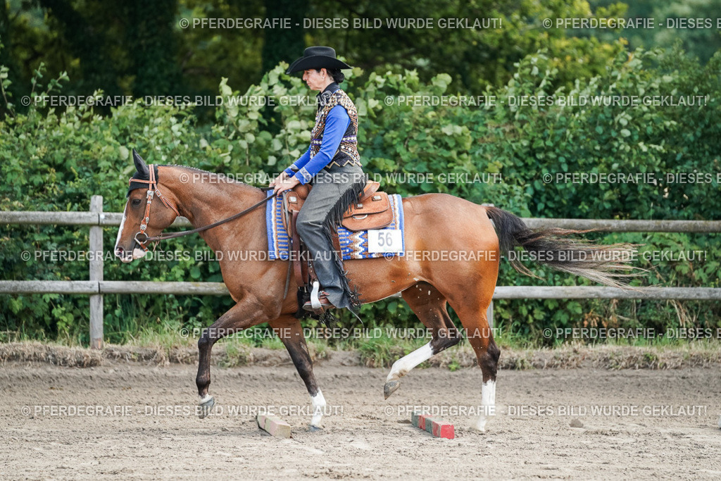 DSC06232 | Pferdegrafie