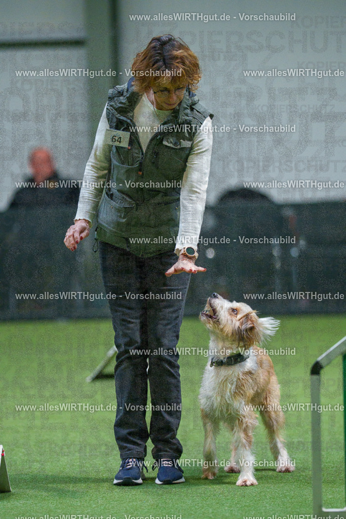 7R503409 | Professionelle Tierfotografie in Mönchengladbach von Daniel Wirth (allesWIRTHgut). Liebevolle & natürliche Bilder von Hunden & Katzen für unvergessliche Erinnerungen.