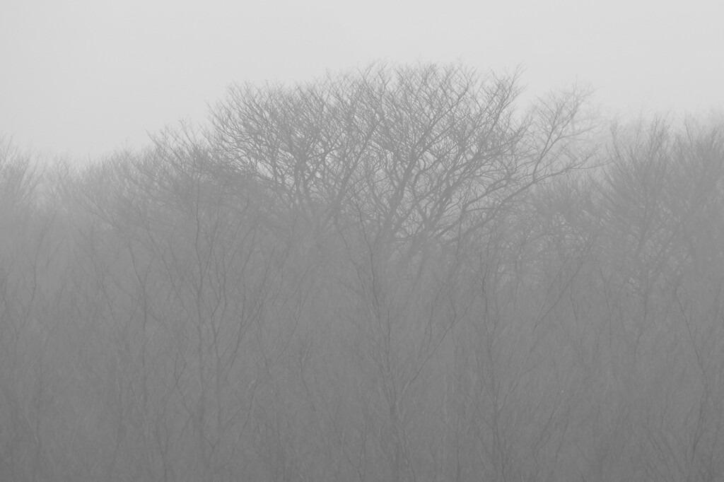 P1660937_a | Annaeherungen - Realisiert mit Pictrs.com