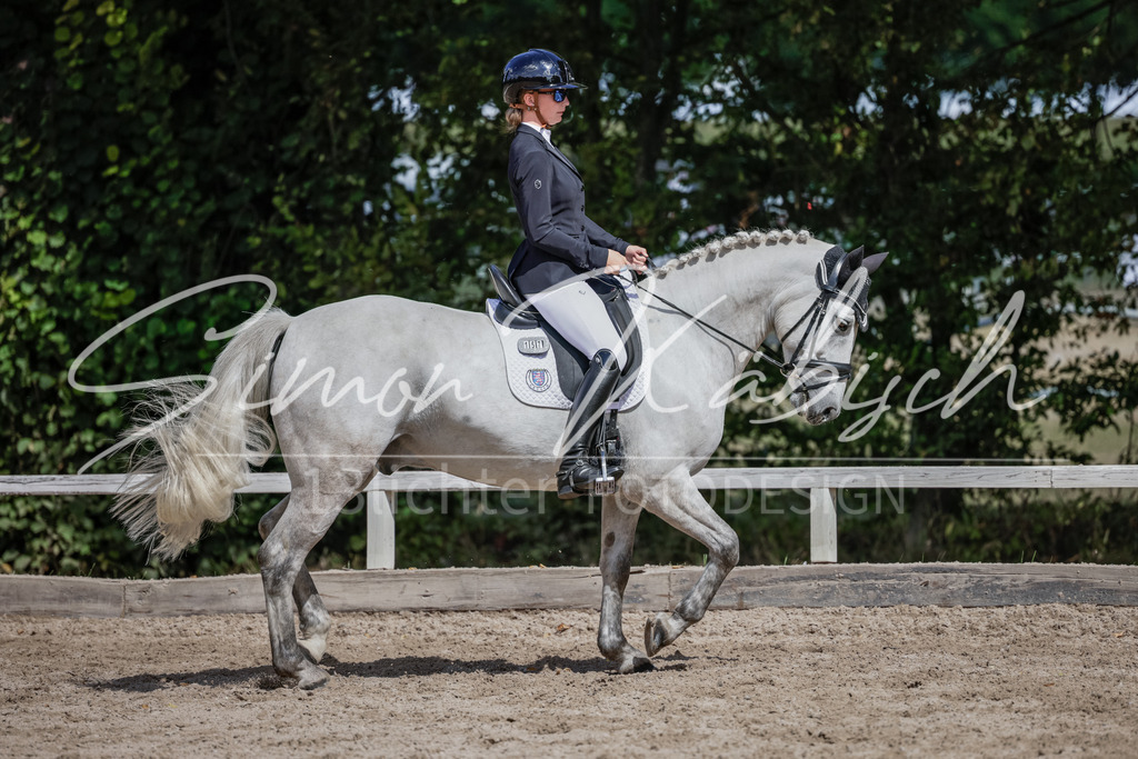 20250906-_3LI5660 | Tierfotografie Pferde, Hunde, Katzen, Haustiere.
Turnierfotografie Reitturniere, Reiten, Springreiten, Dressur in Hanau, dem Main-Kinzig-Kreis und dem Rhein-Main- Gebiet um Frankfurt