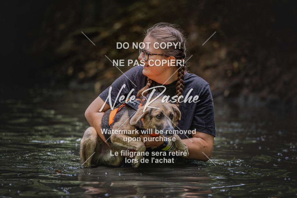 nelerasche_SaWingst1300-1400_277 | nelerasche