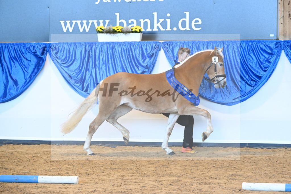 Kat-Nr. 8 Finja v. Barios_Felsl_60221294 | hf-fotografie - Realisiert mit Pictrs.com