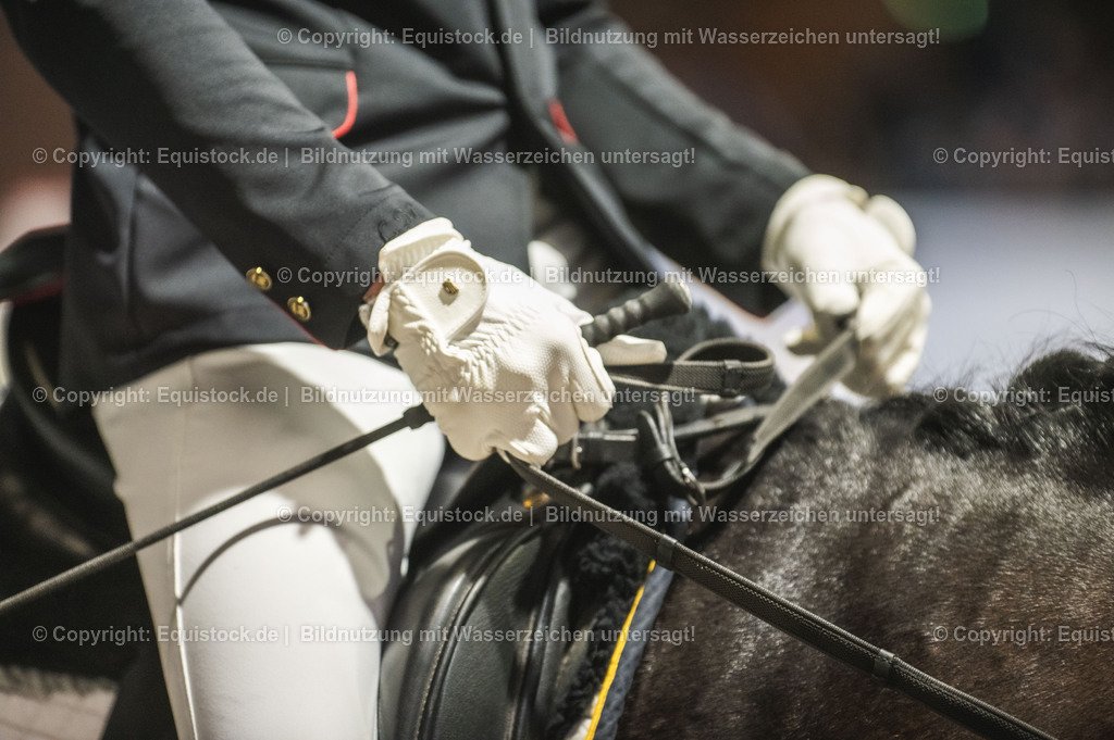 20240302_Hengstvorstellung_Marbach_TOMsPiC_0150 | equistock