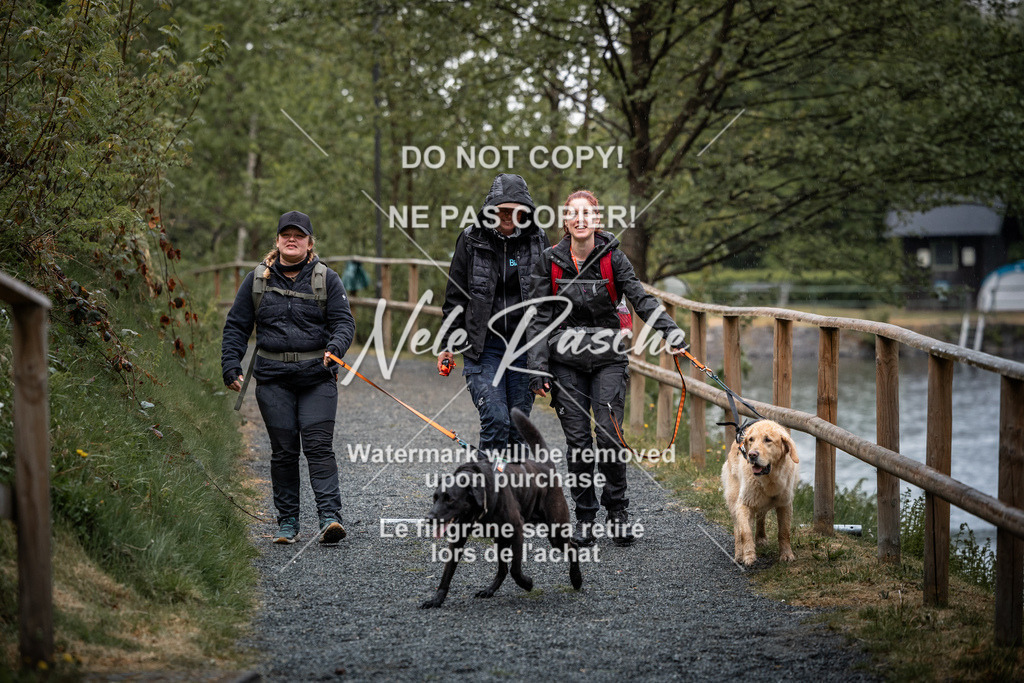 nelerasche_SaAbends_326 | nelerasche