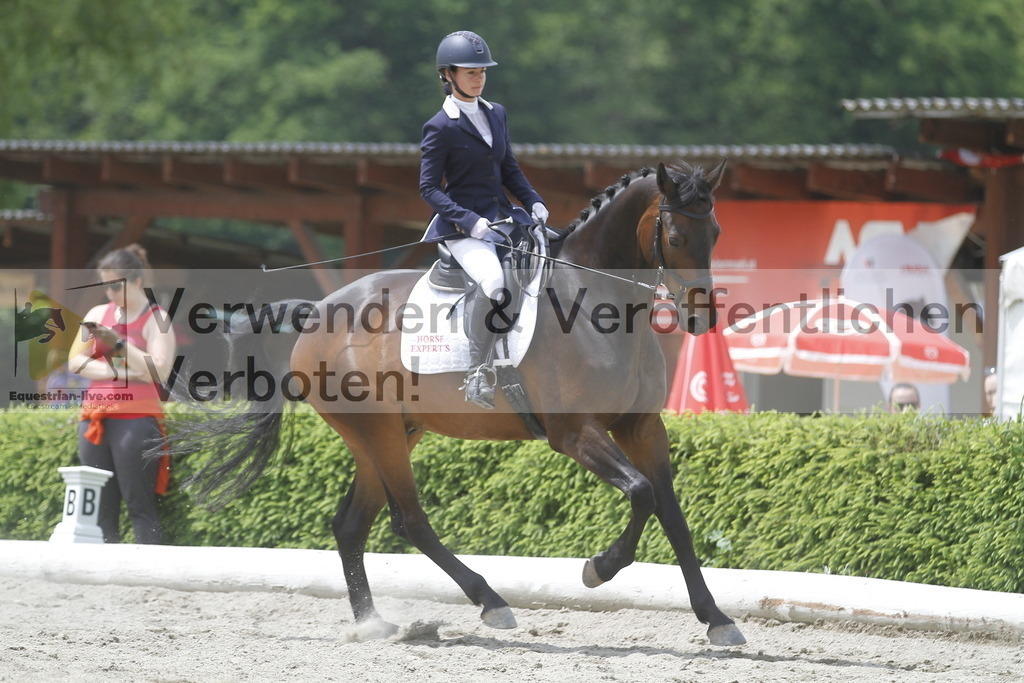 _MG_9588 | equestrian-live-com
