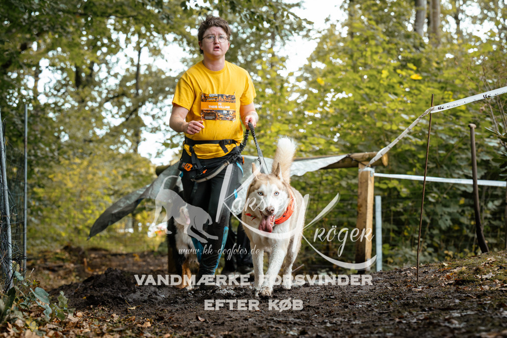 1427DZ6_2289Z6 | kk-dogfotos