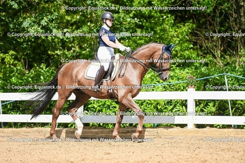 20230716_01_Dressurprüfung Kl.M_0351 | equistock