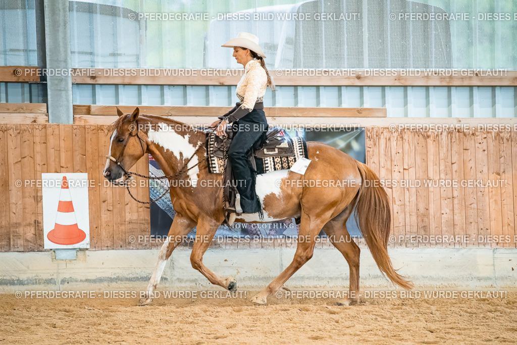 DSC00500 | Pferdegrafie