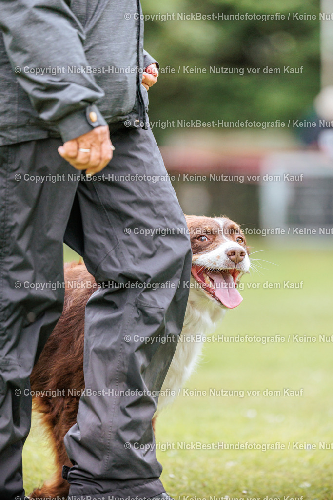 RO-Blumenthal-2026-Nickbest-Hundefotografie-2377 | Dein Hund! Dein Moment! Deine Erinnerungen! Hundefotografie in Bremen Blumenthal. Ich fange die besonderen Momente deines Vierbeiners ein – ob Indoor mit Blitzanlage oder in der freien Natur. Sicher dir dein Moment und dein Termin für eure Erinnerungen.