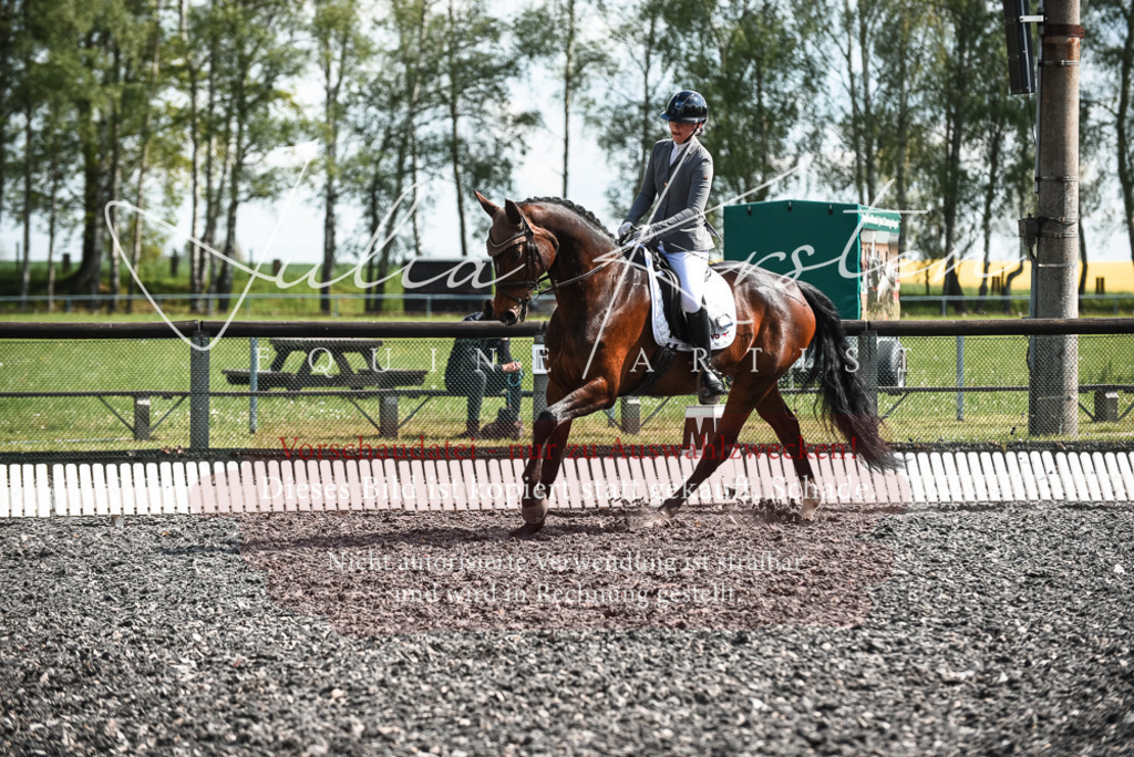 DSC_8962 | Pferde- und Turnierfotografie in Westsachsen. Pferdeportraits, Auftragszeichnungen und intuitive Kunst.