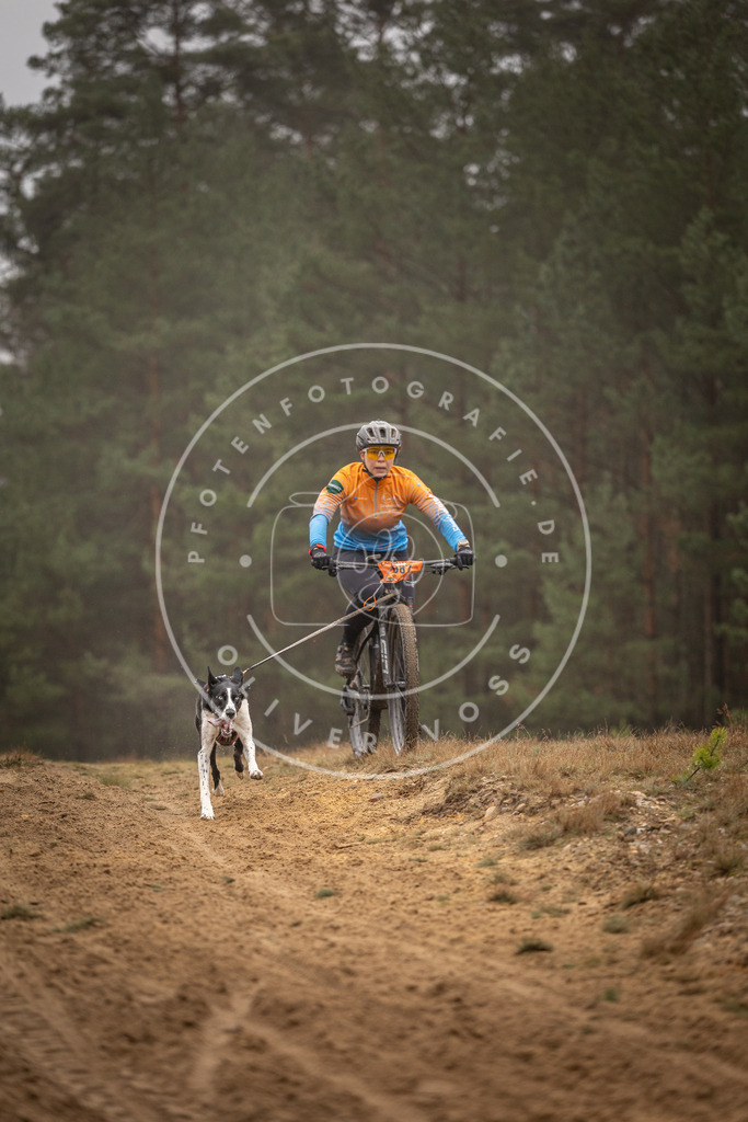 Pfotenfotografie_DV3A2878 | Hundefotografie, Tierfotograf, Pfotenfotografie, Fotoshooting Hund, Hunde Portrait, Hundesport, Hundeportraits, Heideshooting, Hunde, Sportfotograf, Hundefotograf, Turnierhundsport, THS,  - Realisiert mit Pictrs.com