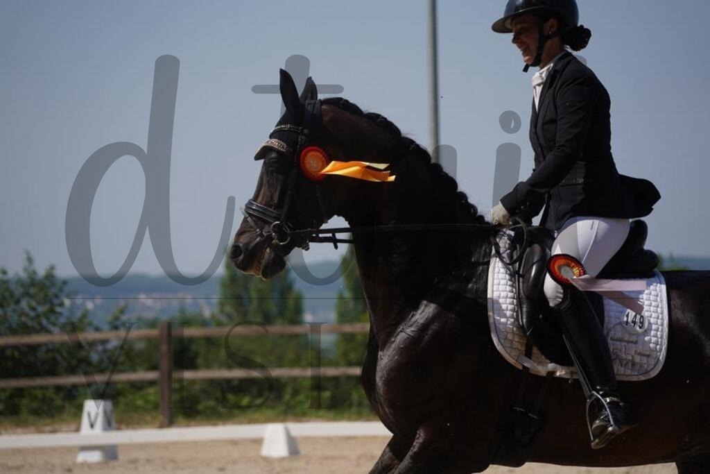 tgbhfreitag (854) | d.tail Visions - Shop - Realisiert mit Pictrs.com