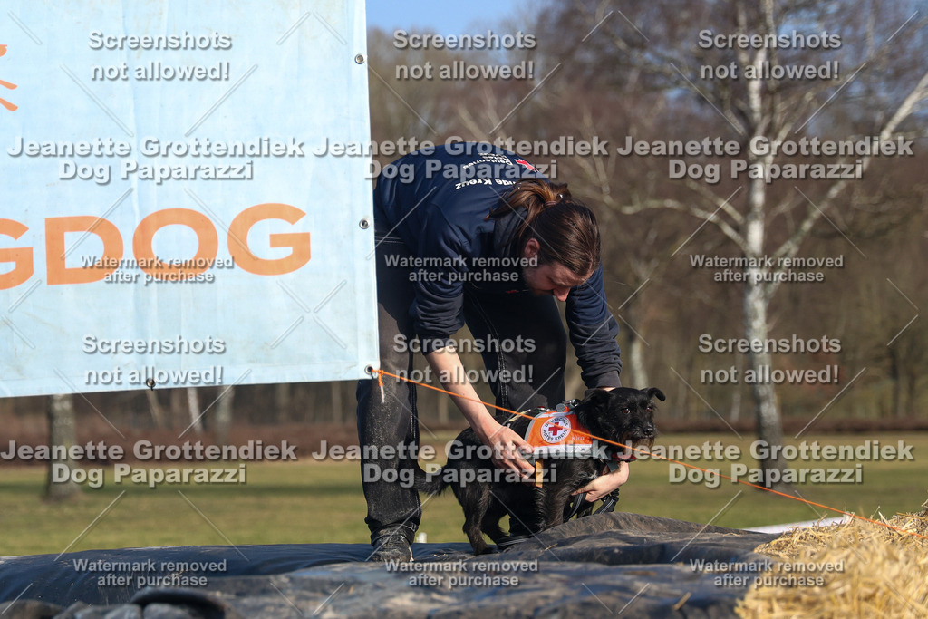 Dog Paparazzi - Strongdog North Mrz26-3507 | Dog Paparazzi Jeanette Grottendiek Fotografie & Videografie - Realisiert mit Pictrs.com