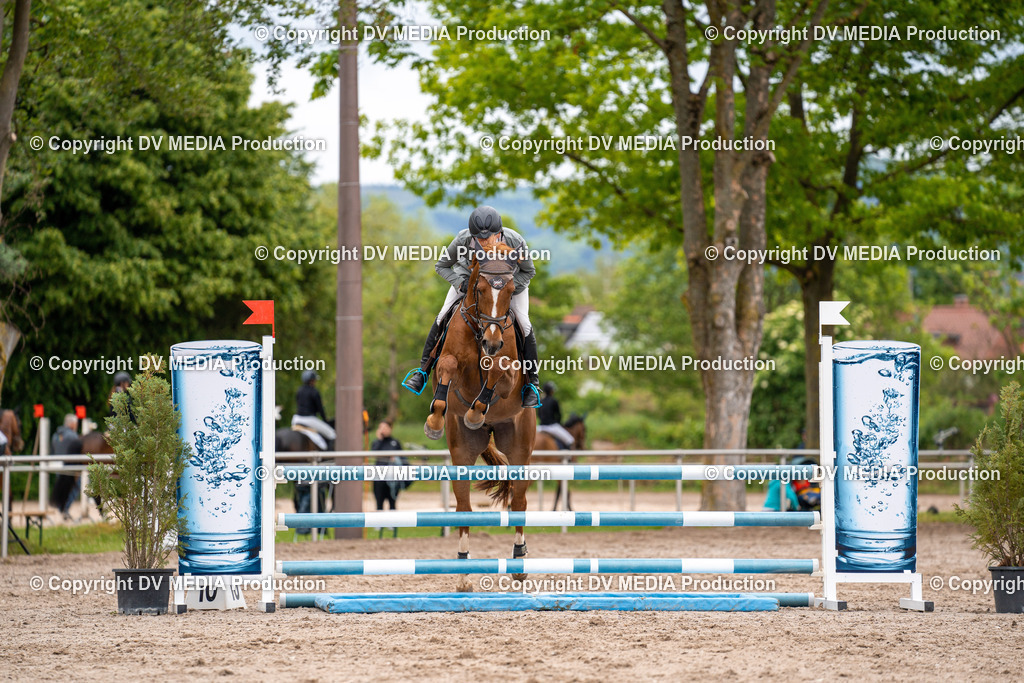 Eppelheim Tag 1-01 | dv-media-shop - Realisiert mit Pictrs.com