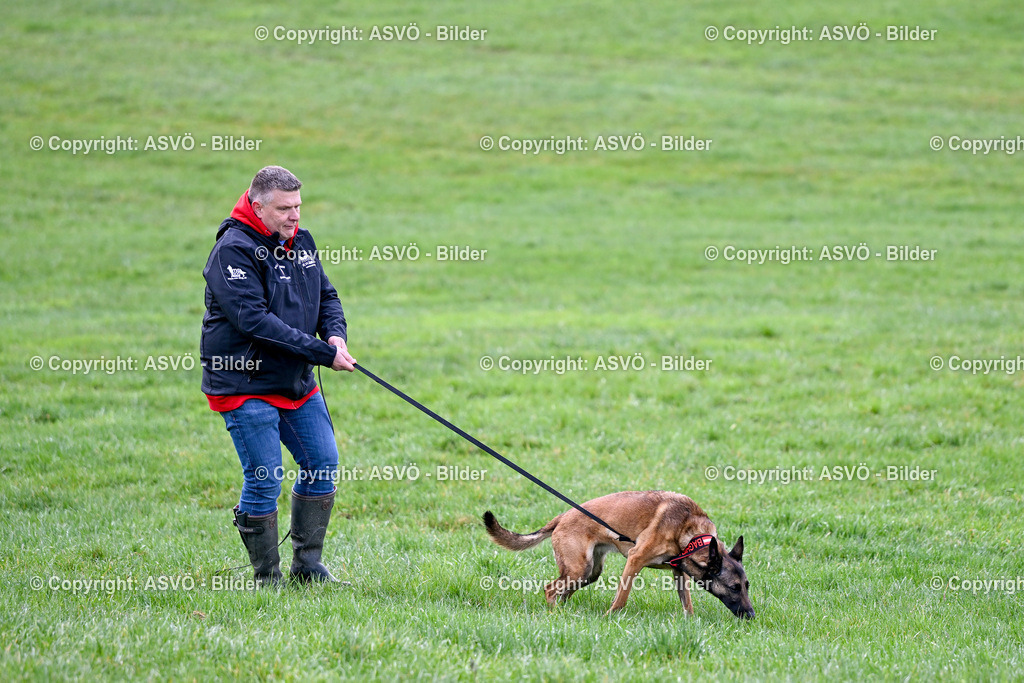 ASVÖ_ Tracking Dog World Championship 2025_ 31.03.2025-61 | 31.03.2025, AUT, ASVÖ, Tracking Dog World Championship // FCI IGP Fährtenhundeweltmeisterschaft 2025©fodo.media / Harald Dostal - Realisiert mit Pictrs.com