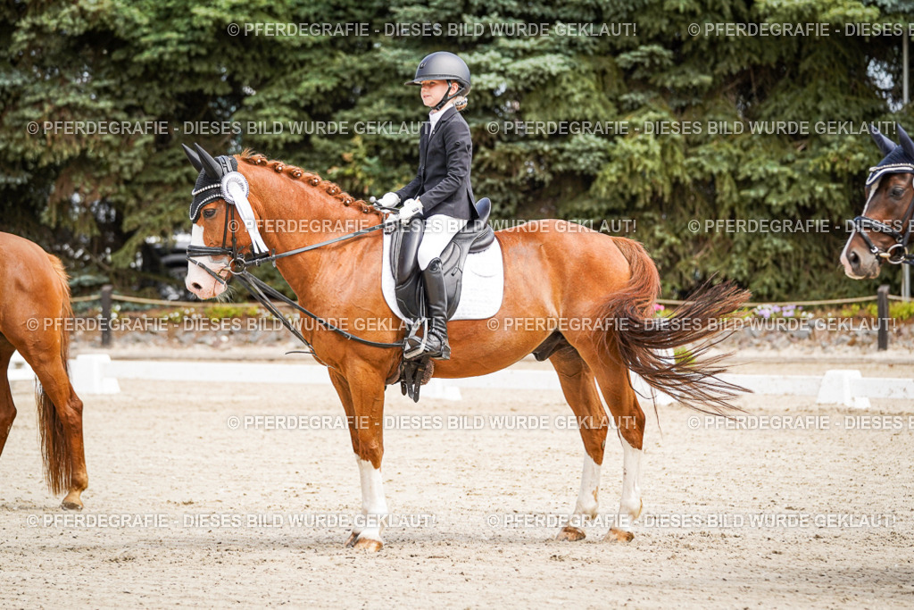 DSC02635 | Pferdegrafie