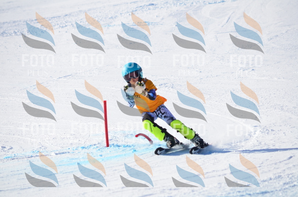 C6071 | holidayphoto