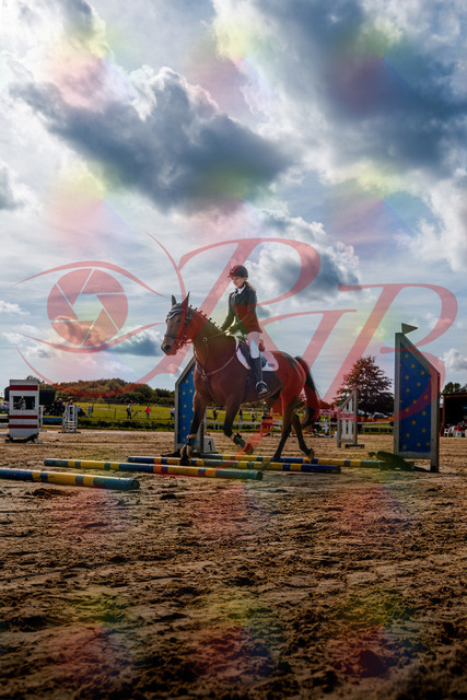2026_10_03_Siefer-Hof_143358_Z63_04961862 | Professionelle Reitsport-, Turnier- und Eventfotografie von Robert Broda. Galerien mit ausgewählten und bearbeiteten Bildern direkt online ansehen und bestellen.