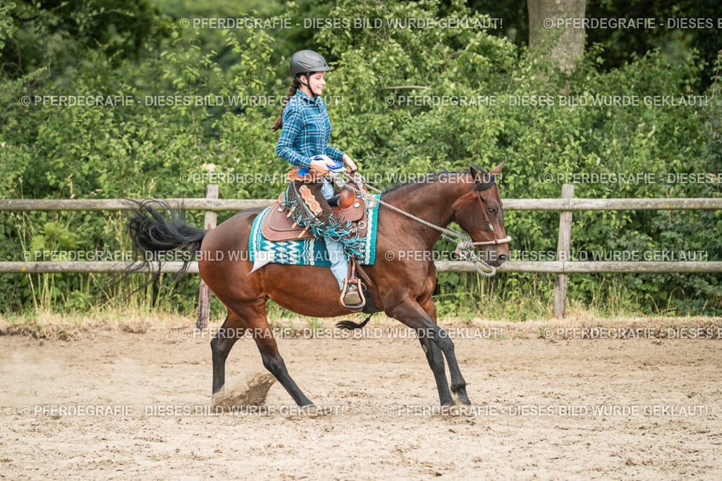 DSC04079 | Pferdegrafie