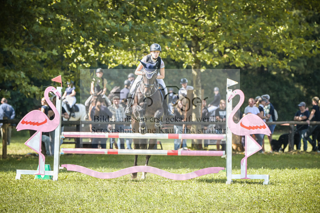 DOS_0274 | Entdecke hochwertige Reitturnierfotos von Foto Oger. Professionell, emotional und authentisch – jetzt Lieblingsmomente im Shop bestellen.Deutschlandweite Turnierfotografie. - Realisiert mit Pictrs.com