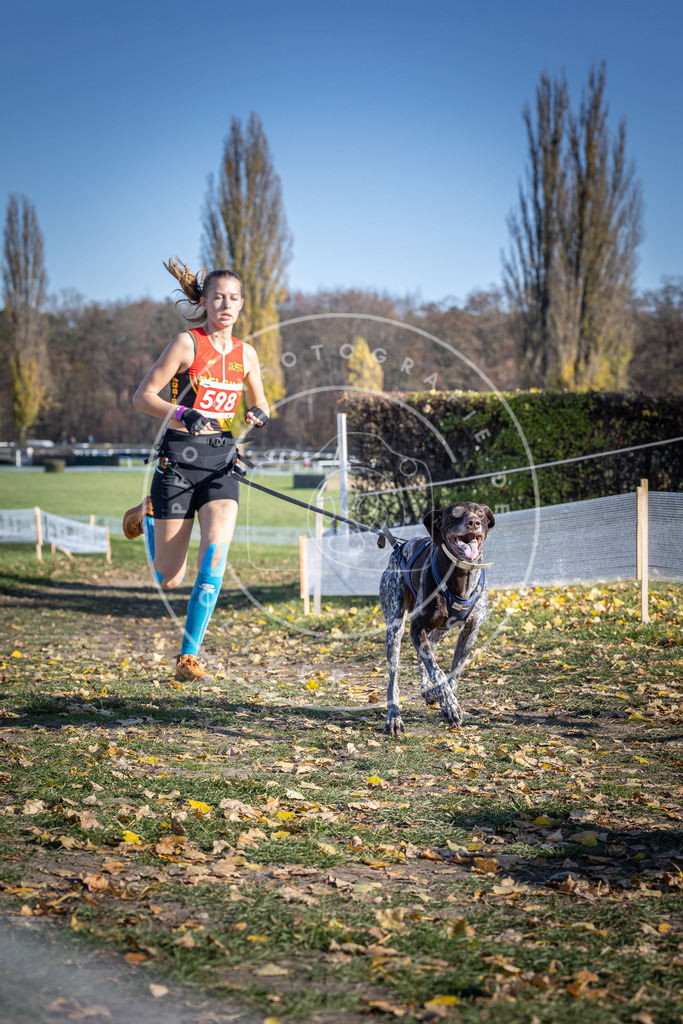 CaniXpix_DV3A9426 | Hundefotografie, Tierfotograf, Pfotenfotografie, Fotoshooting Hund, Hunde Portrait, Hundesport, Hundeportraits, Heideshooting, Hunde, Sportfotograf, Hundefotograf, Turnierhundsport, THS,  - Realisiert mit Pictrs.com