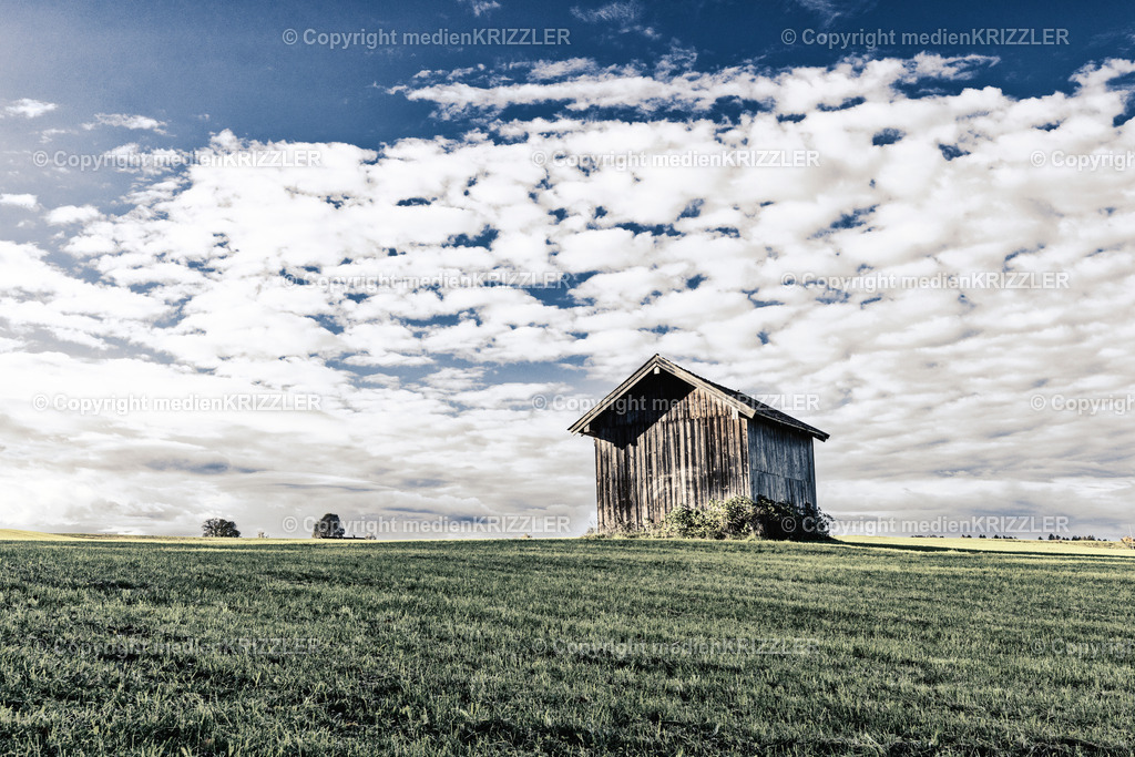 _J3A8926 | medienkrizzler - Realisiert mit Pictrs.com