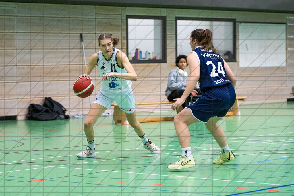 2. DBBL Nord 24/25 | 19.01.2025 | BBC OS vs. VfL VIACTIV-AstroLadies Bochum | 2. DBBL Nord 24/25 | 19.01.2025 | BBC OS vs. VfL VIACTIV-AstroLadies Bochum - - - - - CREDIT, www.bullenfotos.de, Martin König, Hörner Weg 40, D-49078 Osnabrück, +4917663732967, Nutzung und Weitergabe nur zu den vereinbarten Zwecken. Presseanfragen an Urheber. Alle Rechte beim Urheber. - - - - - - Realisiert mit Pictrs.com