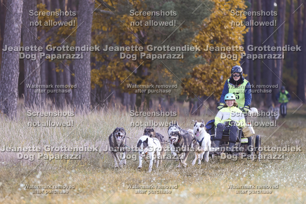 Dog Paparazzi - Elsholz 25 -24 | Dog Paparazzi Jeanette Grottendiek Fotografie & Videografie - Realisiert mit Pictrs.com
