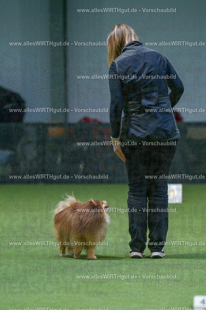 7R506778 | Professionelle Tierfotografie in Mönchengladbach von Daniel Wirth (allesWIRTHgut). Liebevolle & natürliche Bilder von Hunden & Katzen für unvergessliche Erinnerungen.