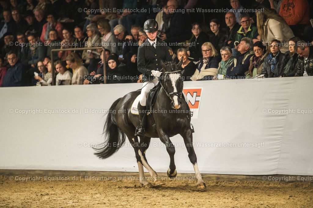 20240302_Hengstvorstellung_Marbach_TOMsPiC_0726-2 | equistock